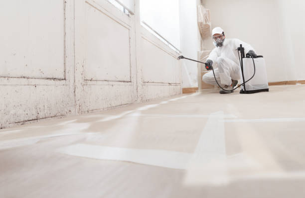 24/7 Emergency Basement Mold Remediation experts in Dumfries, VA
