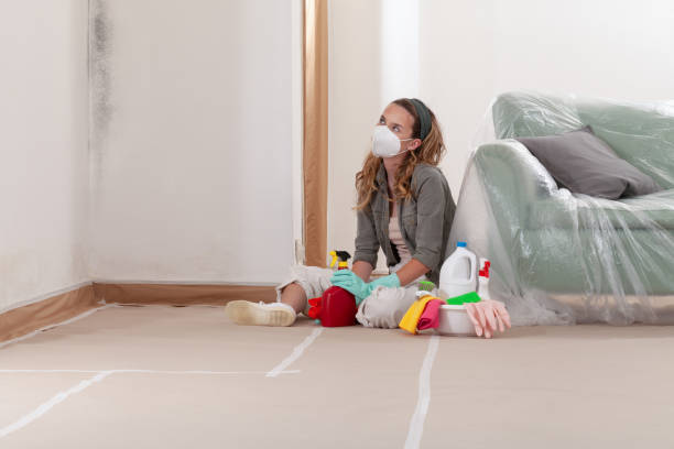 Reliable Basement Mold Remediation contractor in Dumfries, VA by Mold Remediation HQ